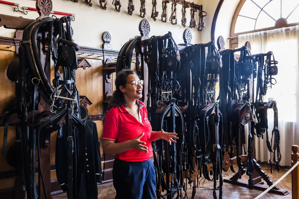 Médiatrice culturelle au Haras de Lamballe