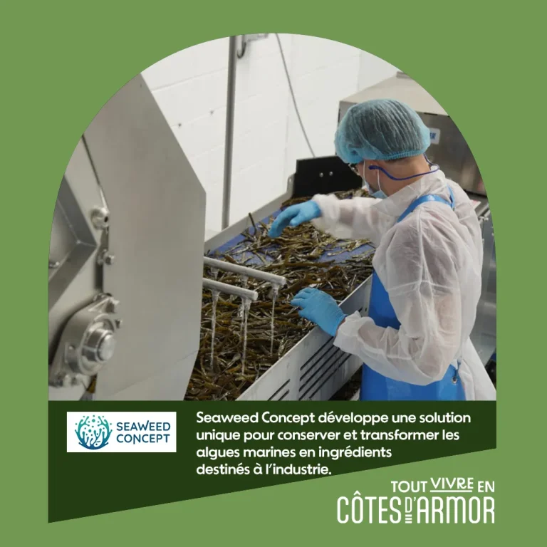 Pépites d’Armor | Seaweed Concept