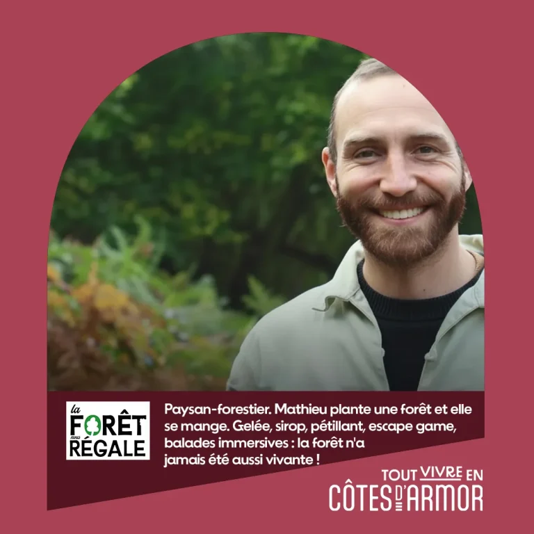 Pépites d’Armor | La Forêt régale
