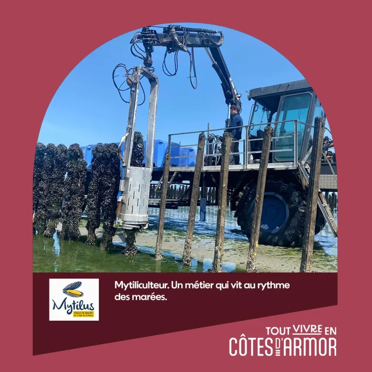 Pépites d’Armor | Mytilus