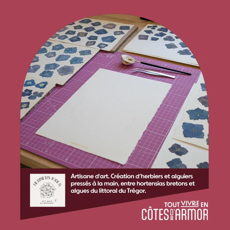Pépites d’Armor | Herbiers Iodés