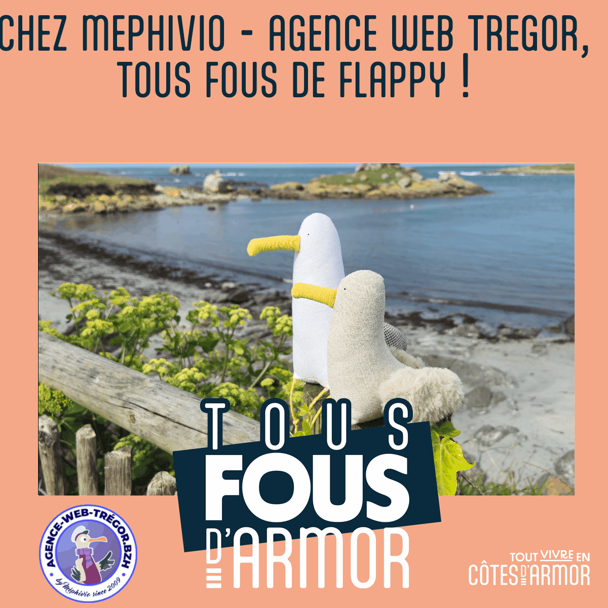 Méphivio - Agence web trégor Tous fous d'Armor #tousfousdarmor