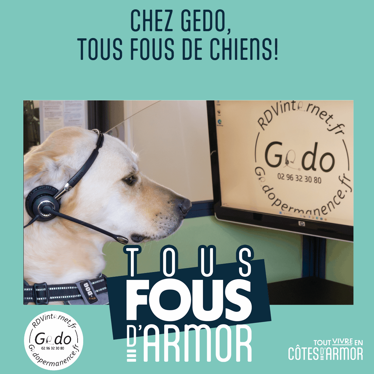 Gedo Tous fous d'Armor #tousfousdarmor