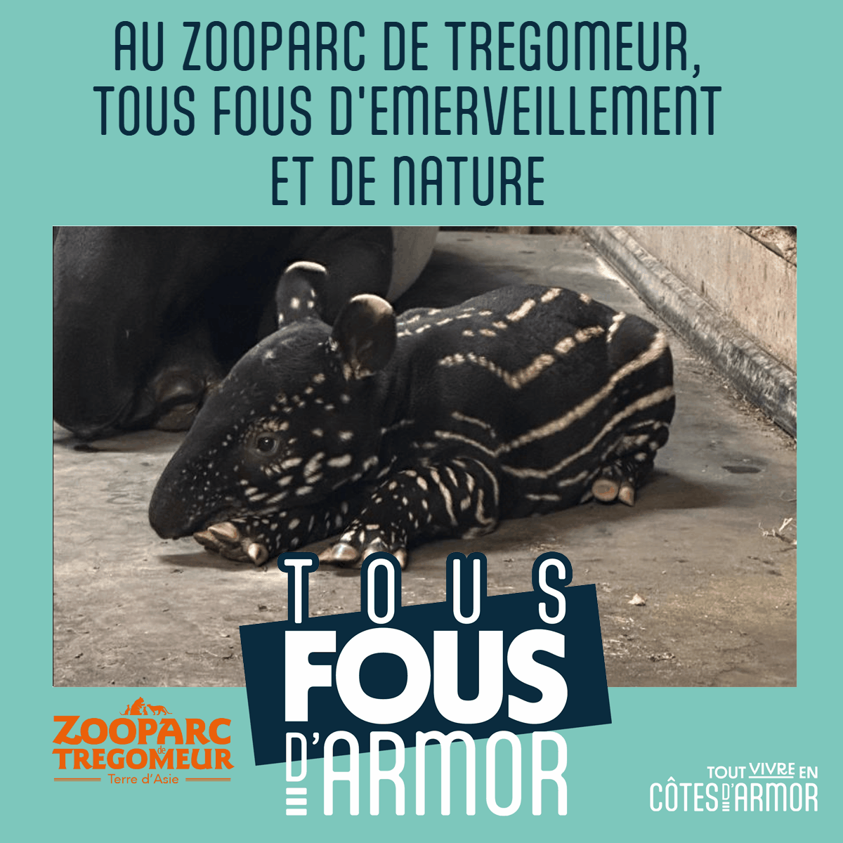 Zooparc de Trégomeur Tous fous d'Armor #tousfousdarmor